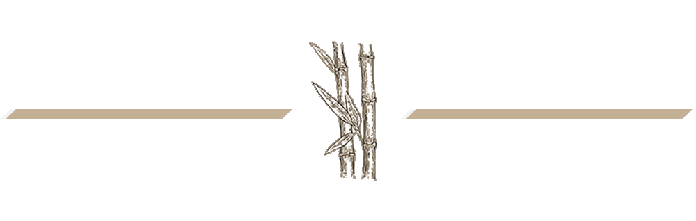article spacer cts